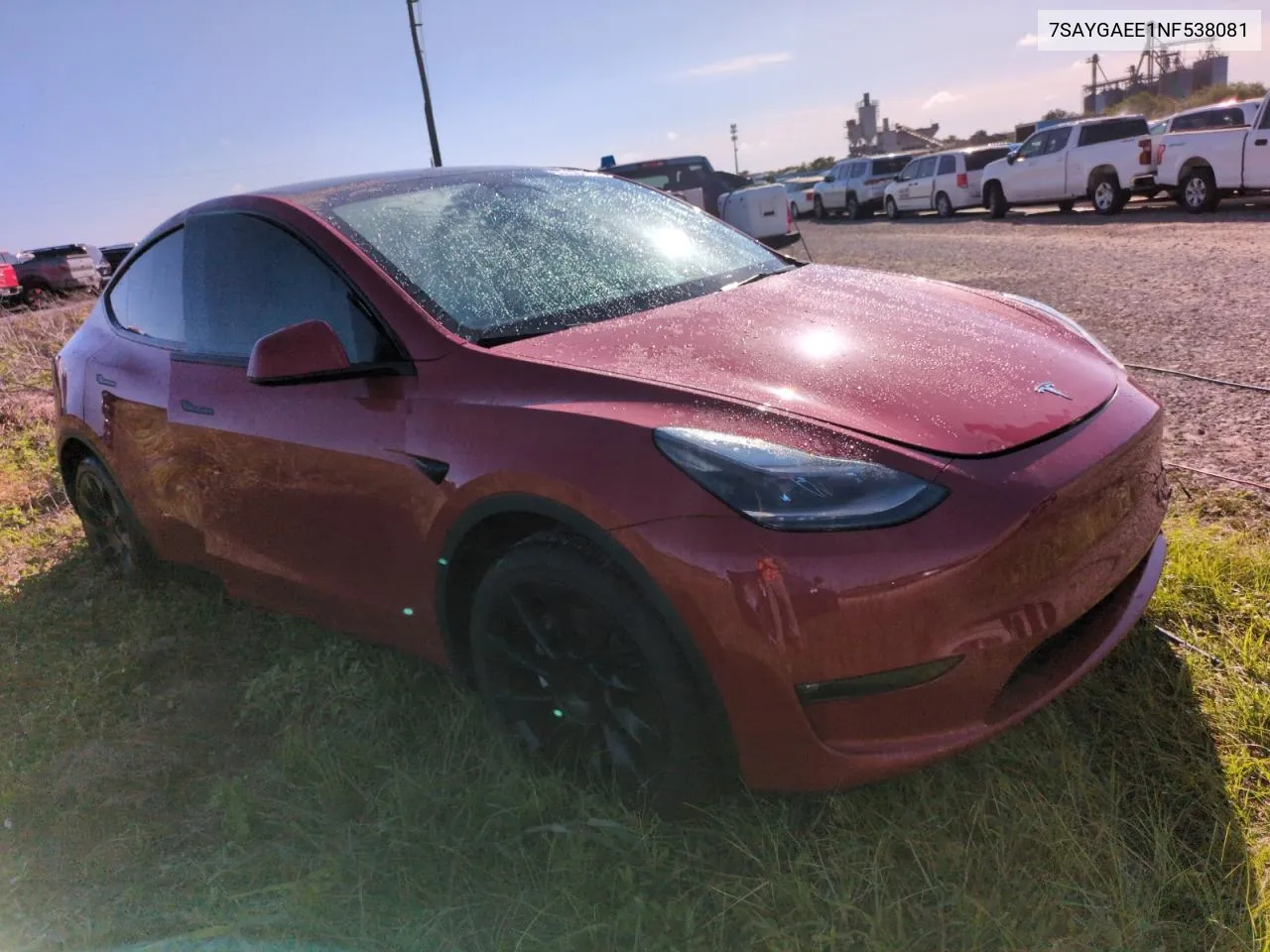 2022 Tesla Model Y VIN: 7SAYGAEE1NF538081 Lot: 74967184