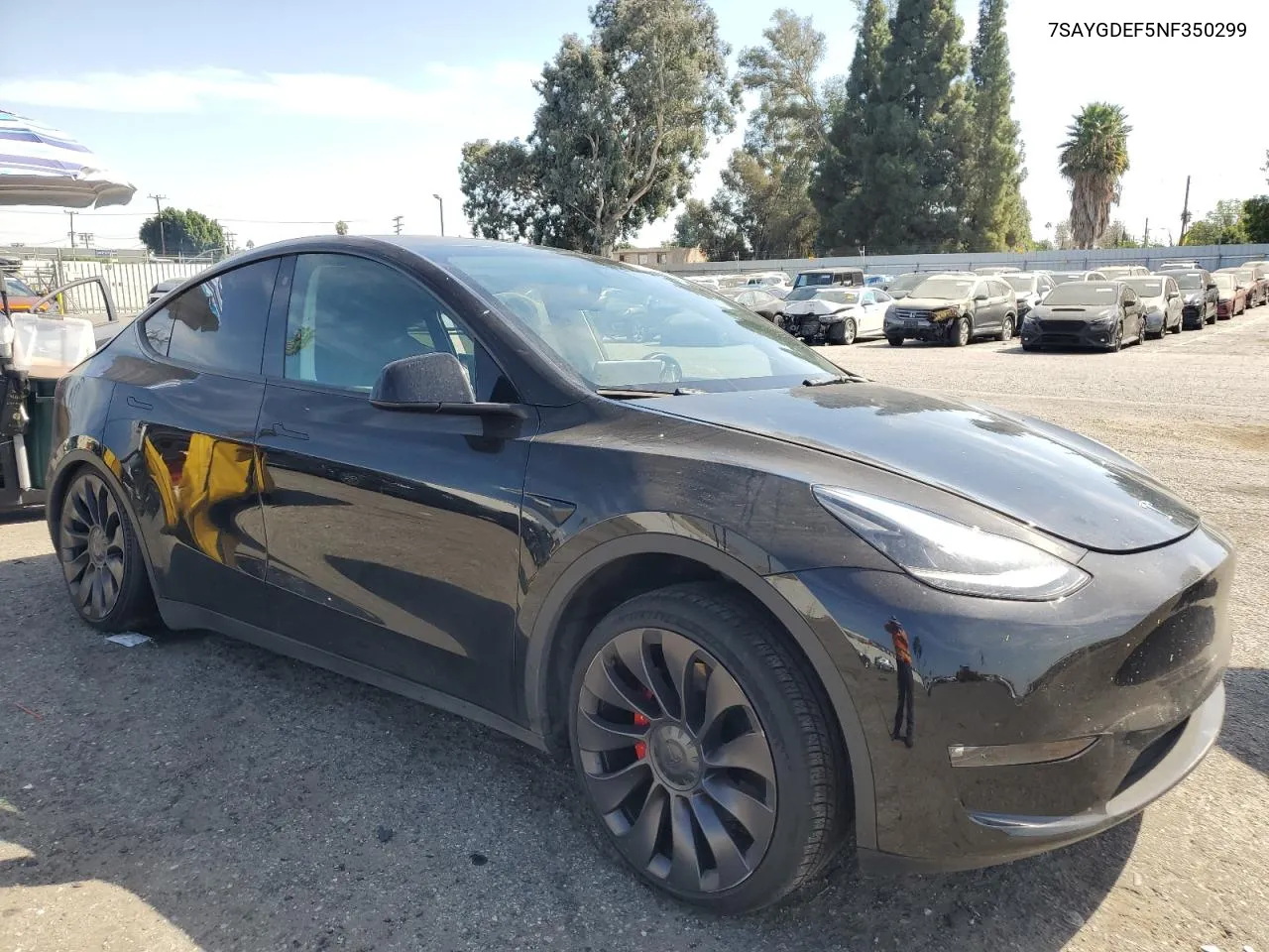 2022 Tesla Model Y VIN: 7SAYGDEF5NF350299 Lot: 74989804