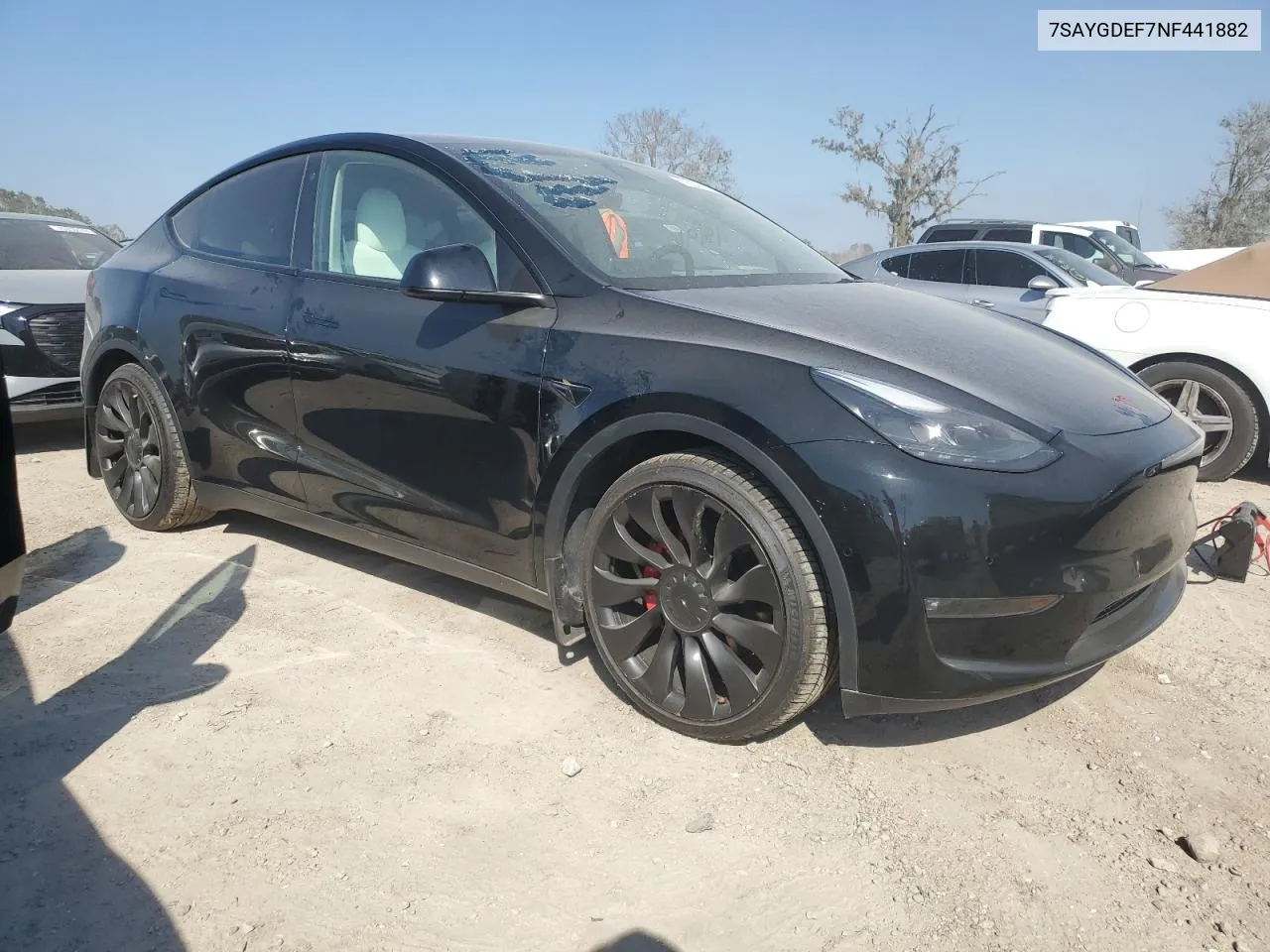 2022 Tesla Model Y VIN: 7SAYGDEF7NF441882 Lot: 75247664