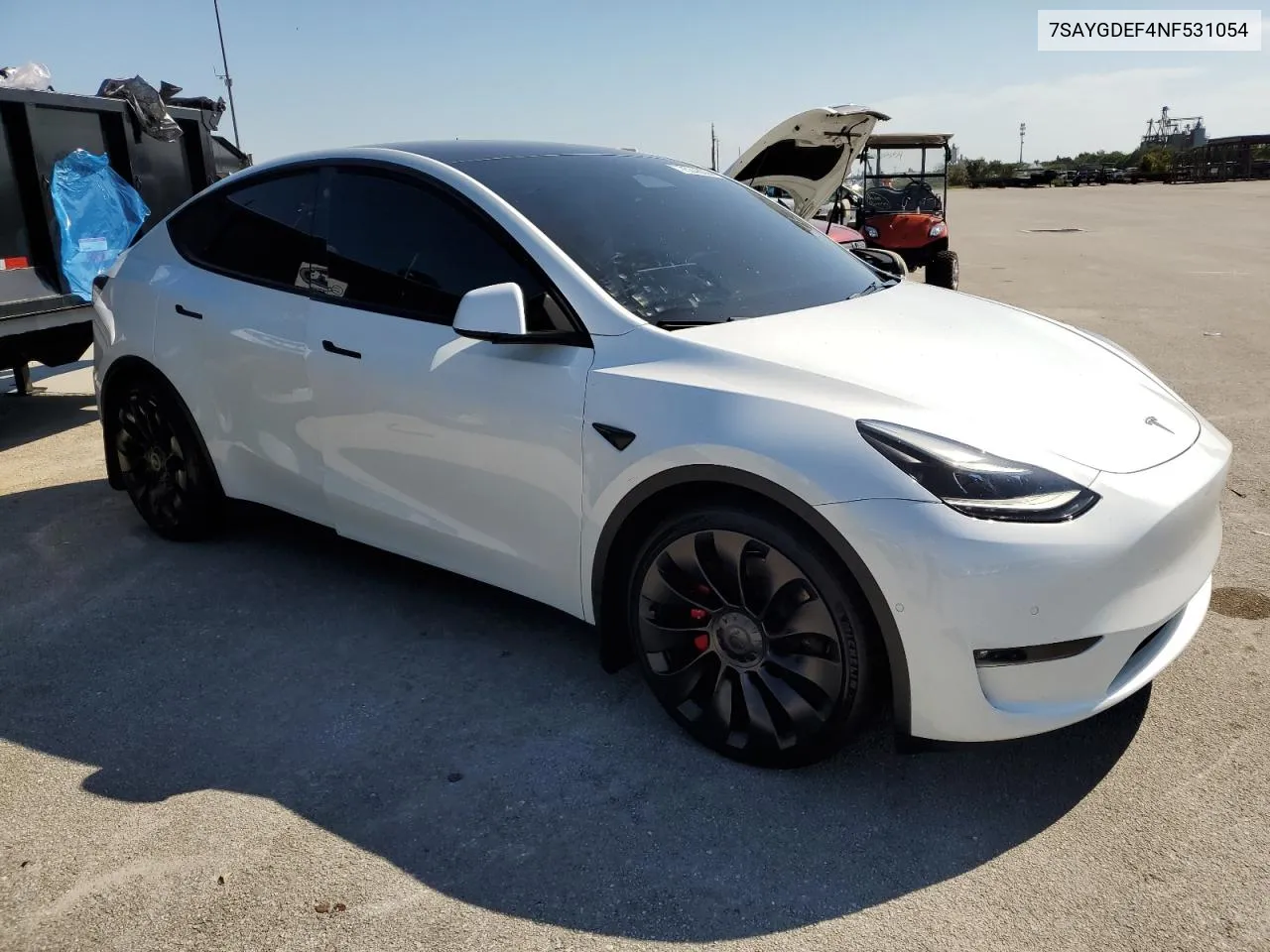 2022 Tesla Model Y VIN: 7SAYGDEF4NF531054 Lot: 75348094