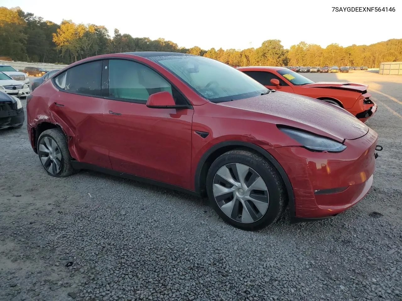 2022 Tesla Model Y VIN: 7SAYGDEEXNF564146 Lot: 75411214