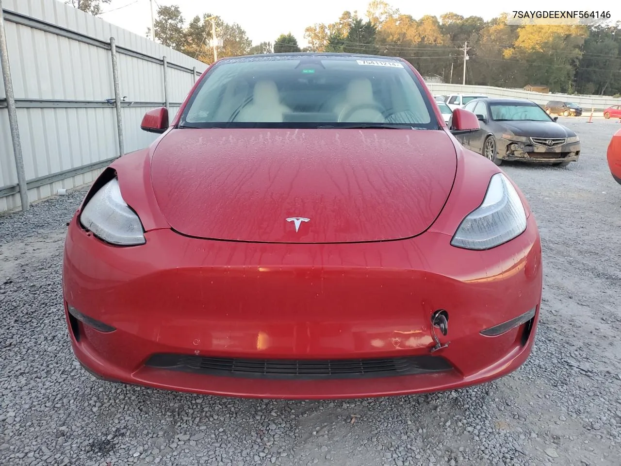 2022 Tesla Model Y VIN: 7SAYGDEEXNF564146 Lot: 75411214