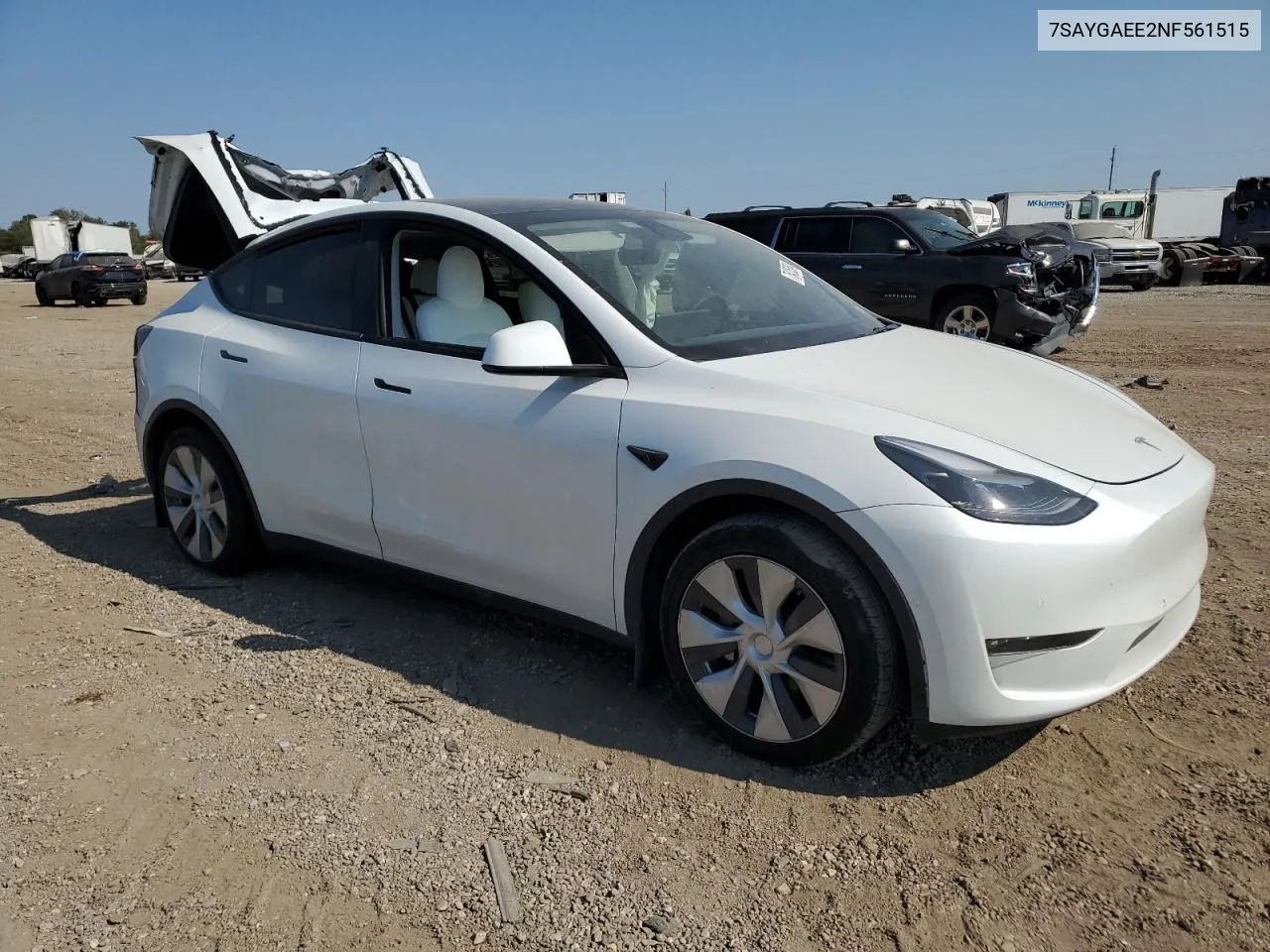 2022 Tesla Model Y VIN: 7SAYGAEE2NF561515 Lot: 75425354