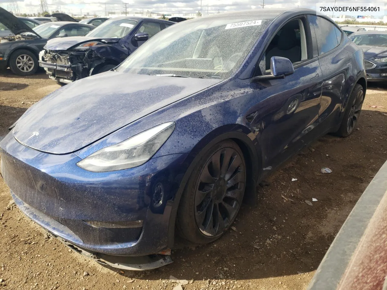 2022 Tesla Model Y VIN: 7SAYGDEF6NF554061 Lot: 75507524