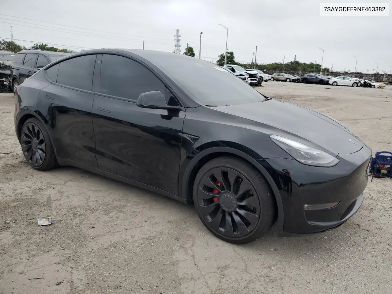 2022 Tesla Model Y VIN: 7SAYGDEF9NF463382 Lot: 75534104