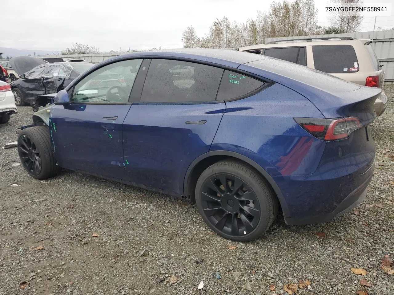 2022 Tesla Model Y VIN: 7SAYGDEE2NF558941 Lot: 75570624