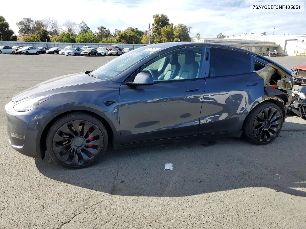 2022 Tesla Model Y VIN: 7SAYGDEF3NF405851 Lot: 75716614