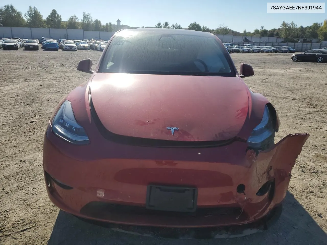 2022 Tesla Model Y VIN: 7SAYGAEE7NF391944 Lot: 75870844