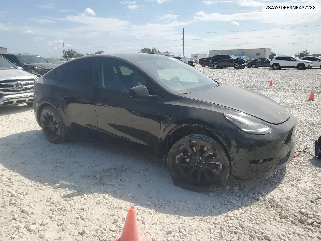 2022 Tesla Model Y VIN: 7SAYGDEE9NF437288 Lot: 76053704