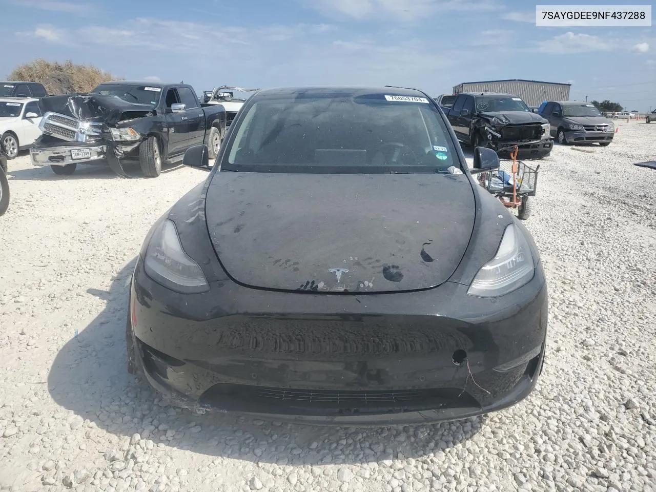 2022 Tesla Model Y VIN: 7SAYGDEE9NF437288 Lot: 76053704