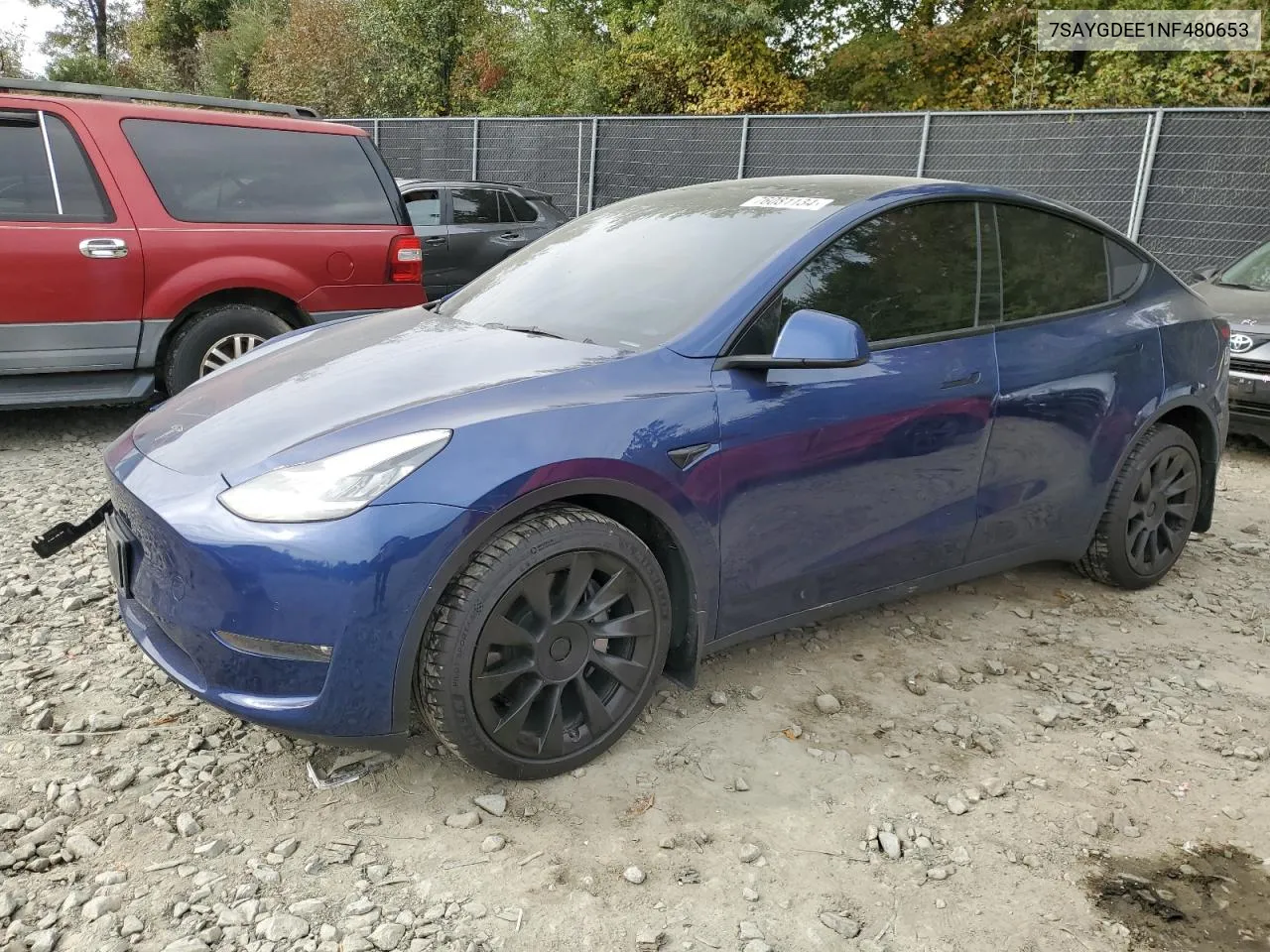 2022 Tesla Model Y VIN: 7SAYGDEE1NF480653 Lot: 76081134