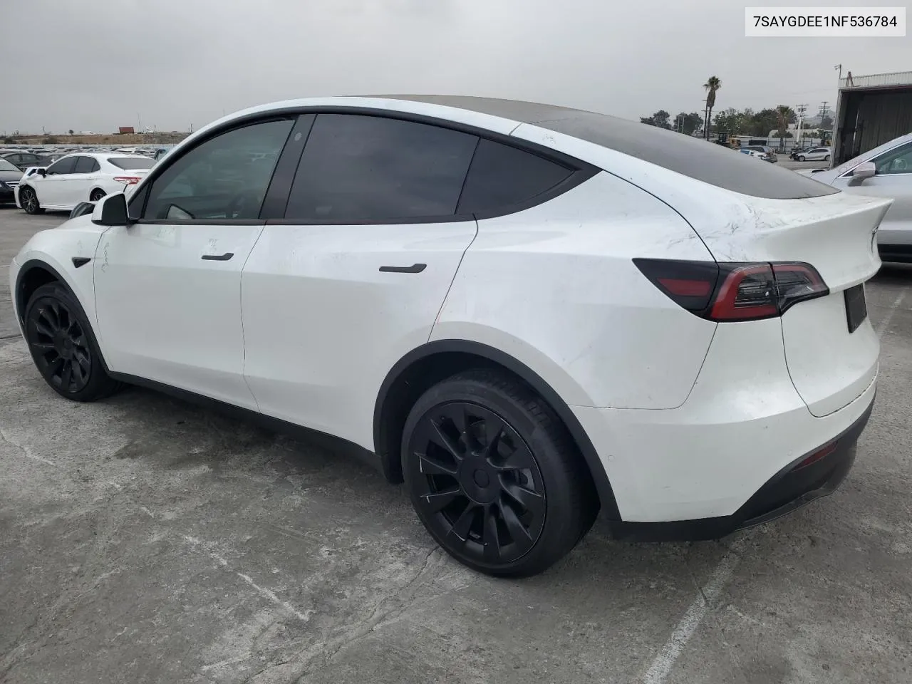 2022 Tesla Model Y VIN: 7SAYGDEE1NF536784 Lot: 76324064