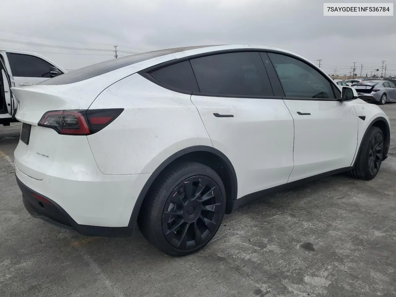 2022 Tesla Model Y VIN: 7SAYGDEE1NF536784 Lot: 76324064