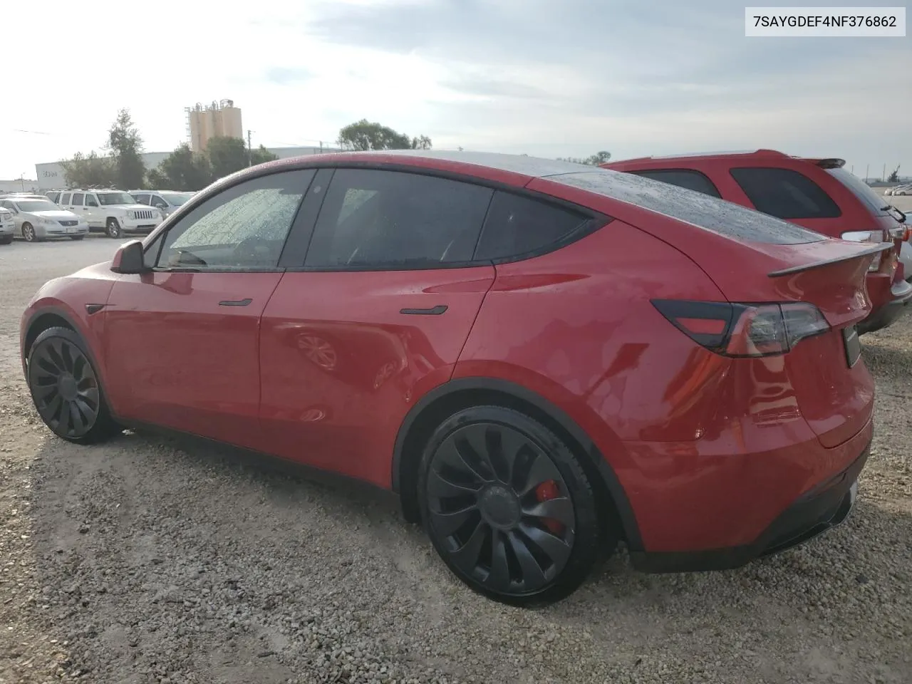 2022 Tesla Model Y VIN: 7SAYGDEF4NF376862 Lot: 76445314