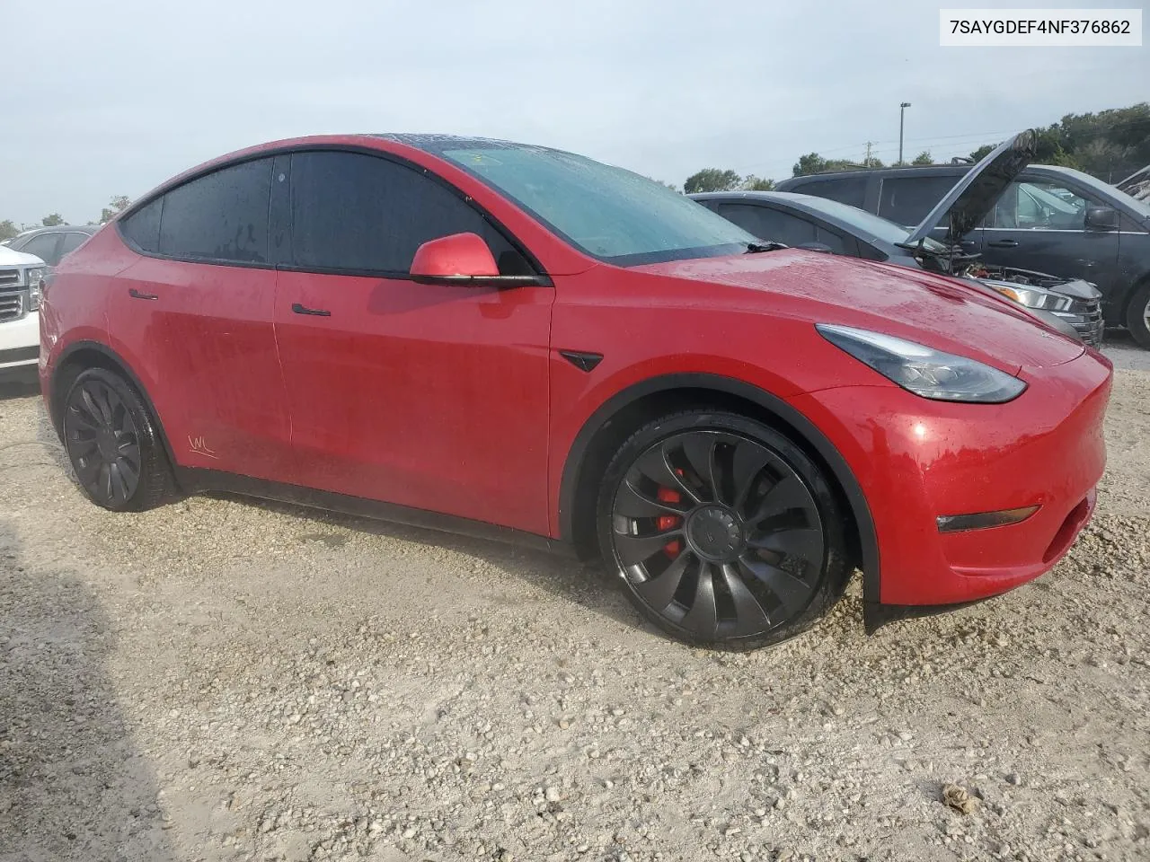 2022 Tesla Model Y VIN: 7SAYGDEF4NF376862 Lot: 76445314