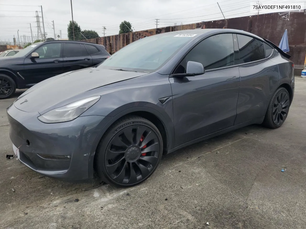 2022 Tesla Model Y VIN: 7SAYGDEF1NF491810 Lot: 76752584