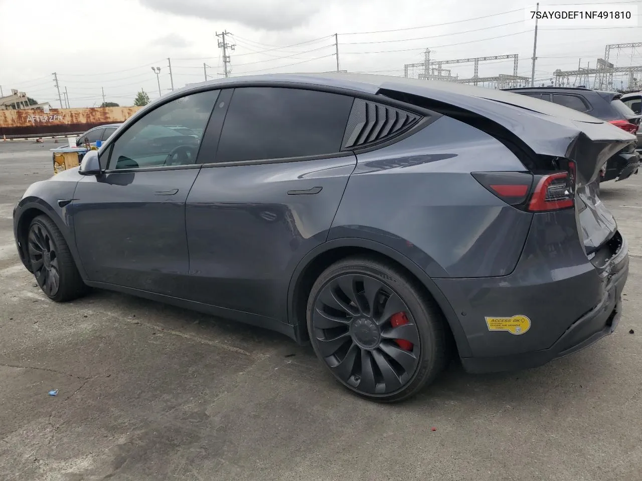 2022 Tesla Model Y VIN: 7SAYGDEF1NF491810 Lot: 76752584