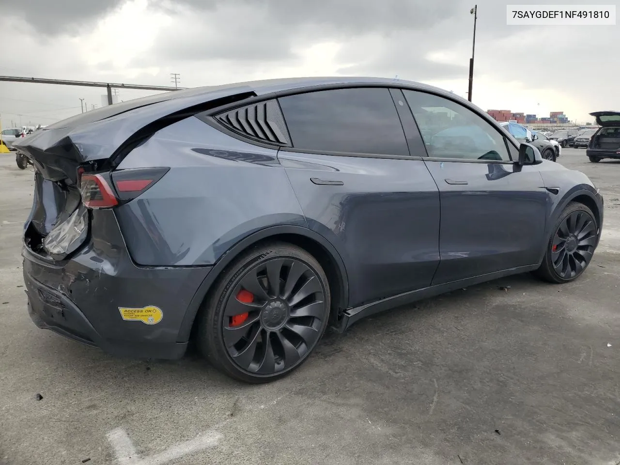 2022 Tesla Model Y VIN: 7SAYGDEF1NF491810 Lot: 76752584