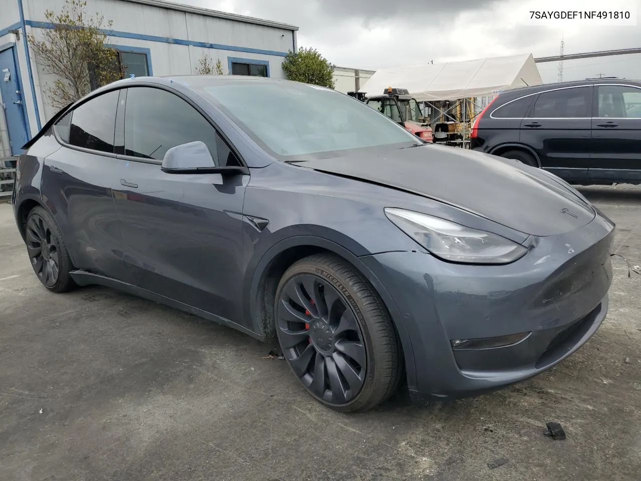 2022 Tesla Model Y VIN: 7SAYGDEF1NF491810 Lot: 76752584