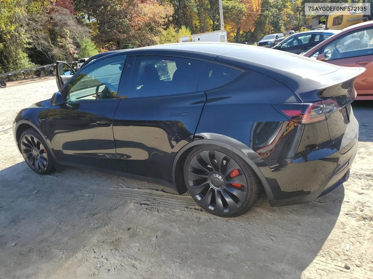 2022 Tesla Model Y VIN: 7SAYGDEF0NF572135 Lot: 76755204