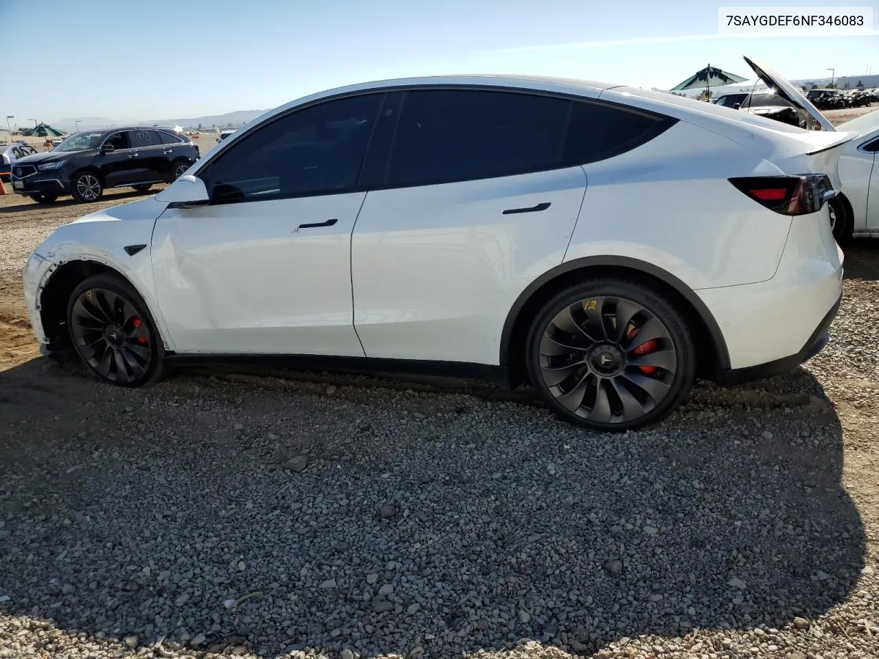 2022 Tesla Model Y VIN: 7SAYGDEF6NF346083 Lot: 77489014