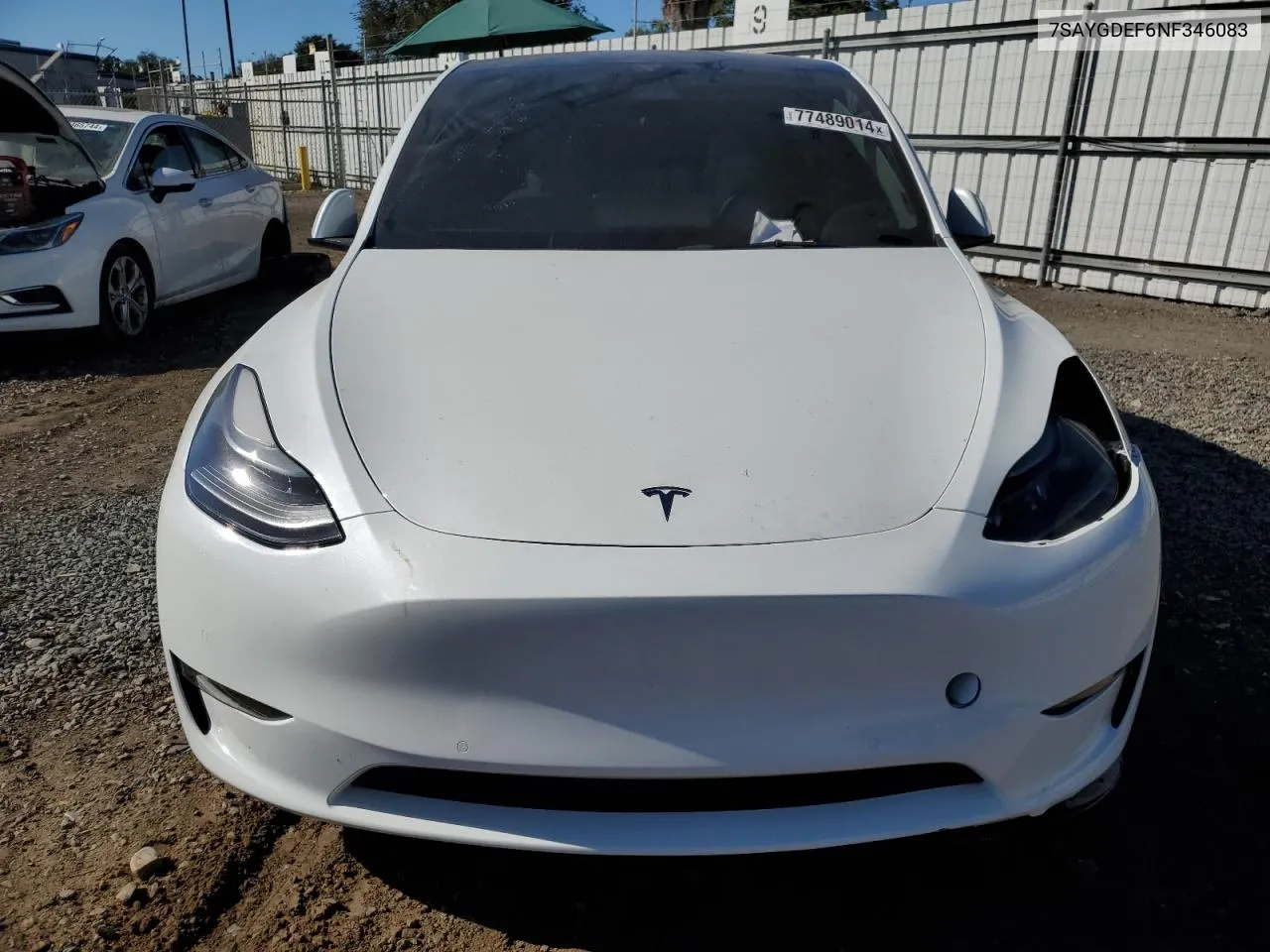 2022 Tesla Model Y VIN: 7SAYGDEF6NF346083 Lot: 77489014