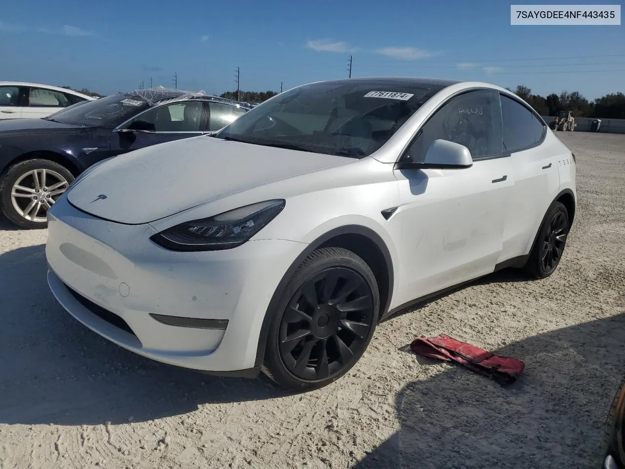 2022 Tesla Model Y VIN: 7SAYGDEE4NF443435 Lot: 77611874