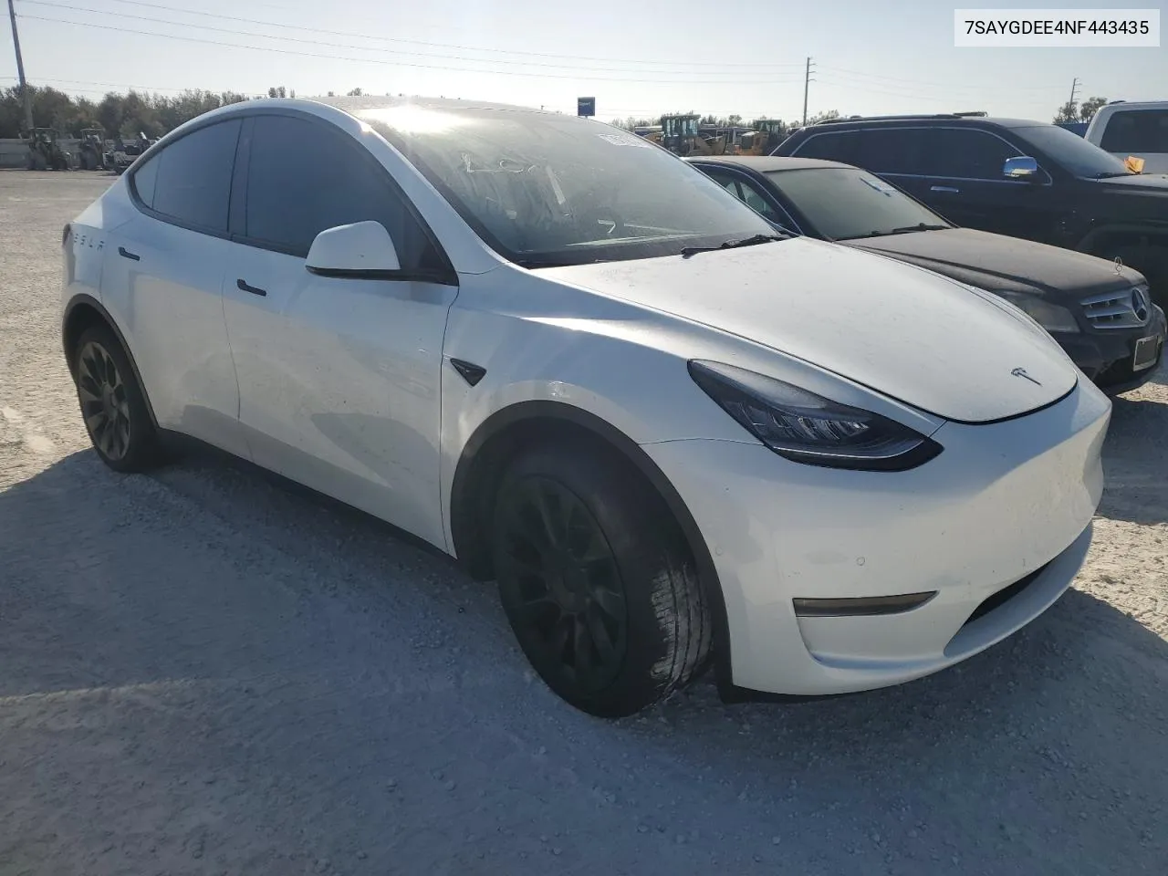 2022 Tesla Model Y VIN: 7SAYGDEE4NF443435 Lot: 77611874