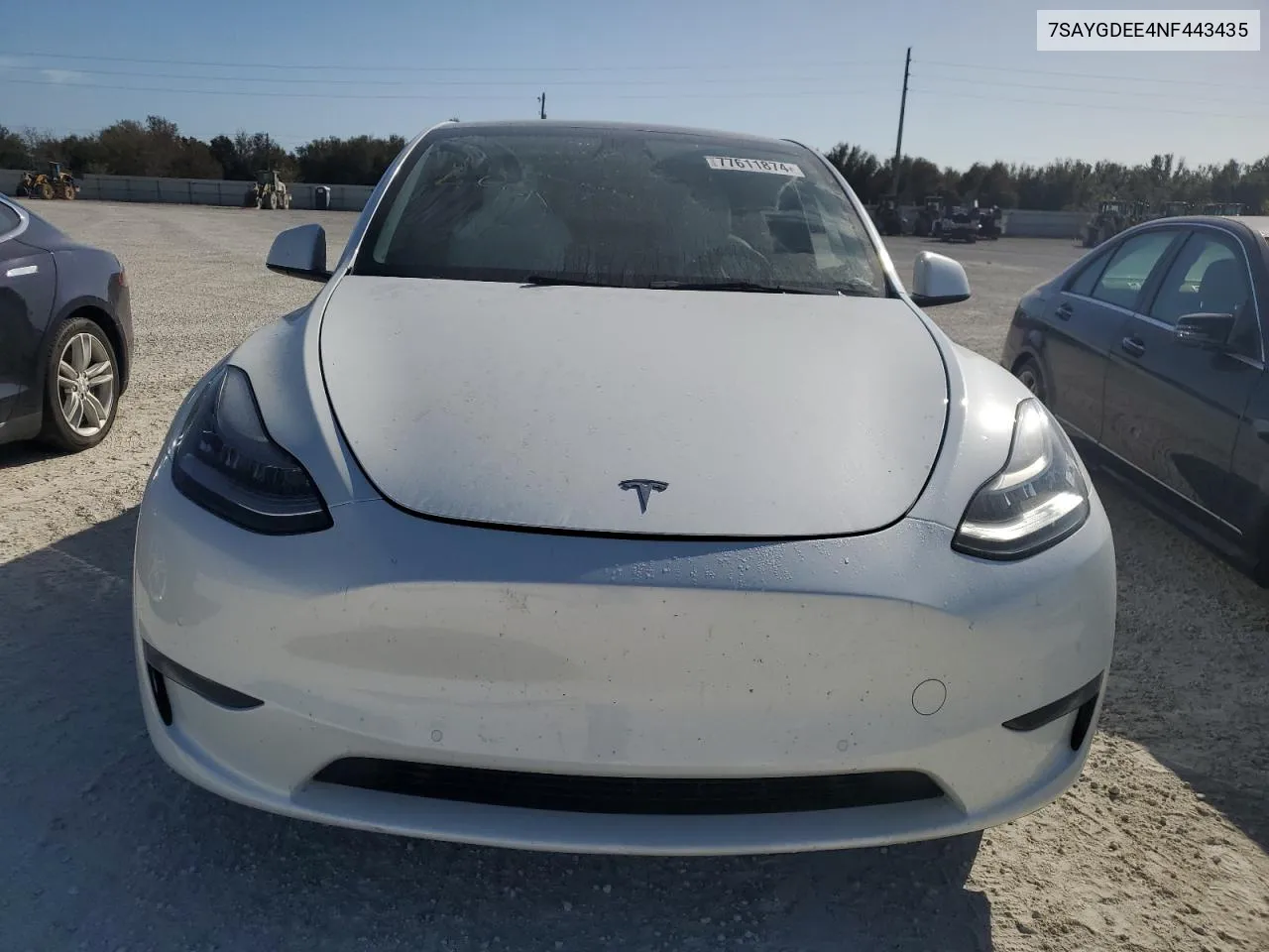 2022 Tesla Model Y VIN: 7SAYGDEE4NF443435 Lot: 77611874