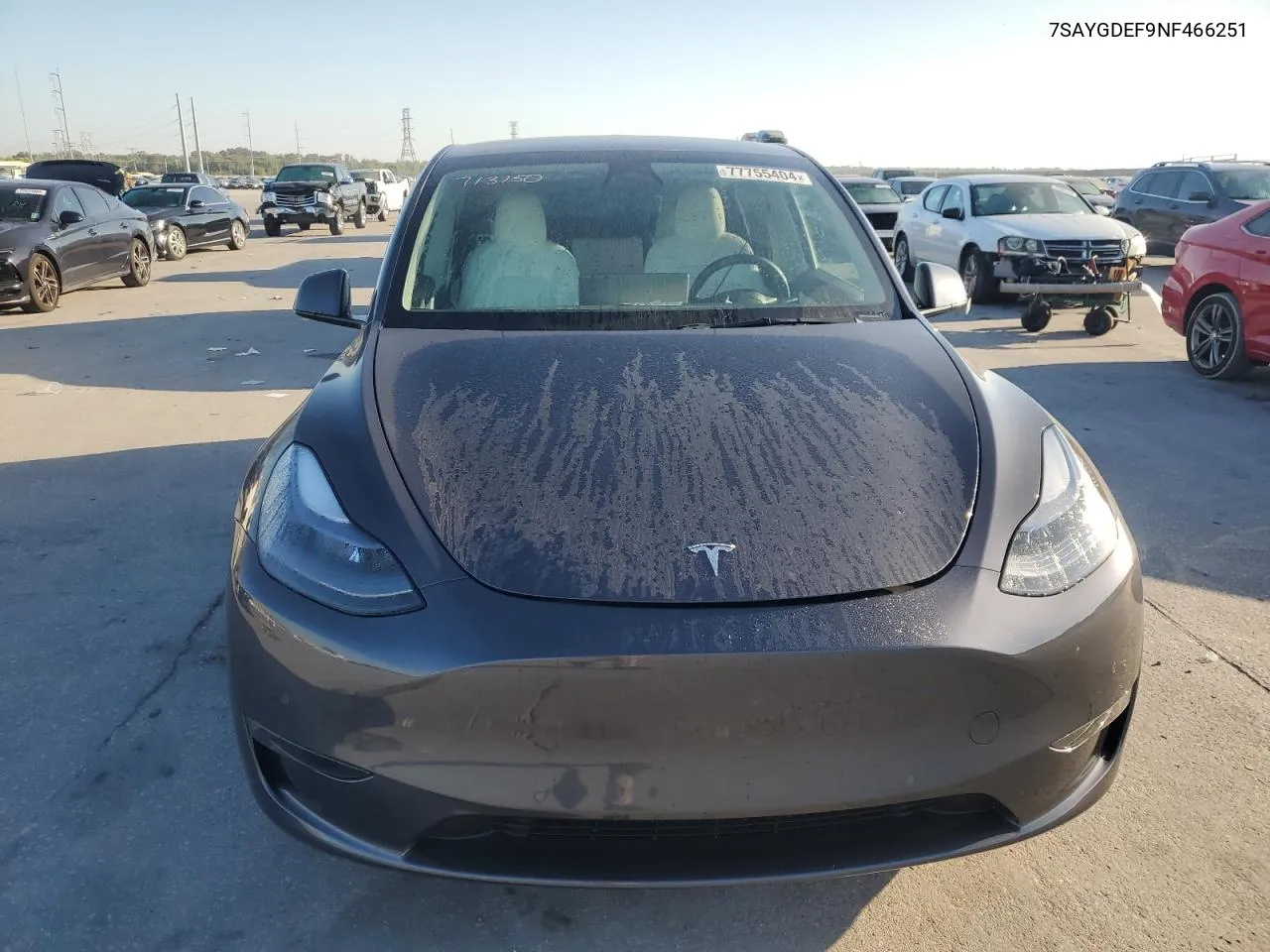 2022 Tesla Model Y VIN: 7SAYGDEF9NF466251 Lot: 77755404