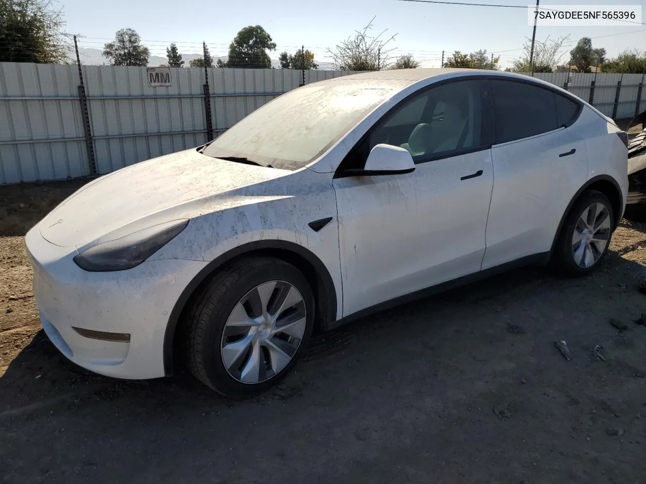 2022 Tesla Model Y VIN: 7SAYGDEE5NF565396 Lot: 78446214