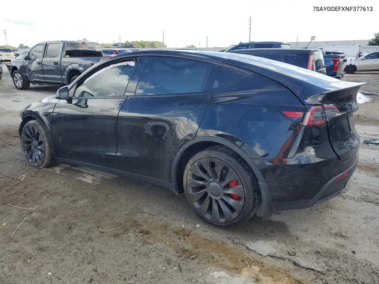 2022 Tesla Model Y VIN: 7SAYGDEFXNF377613 Lot: 79143934