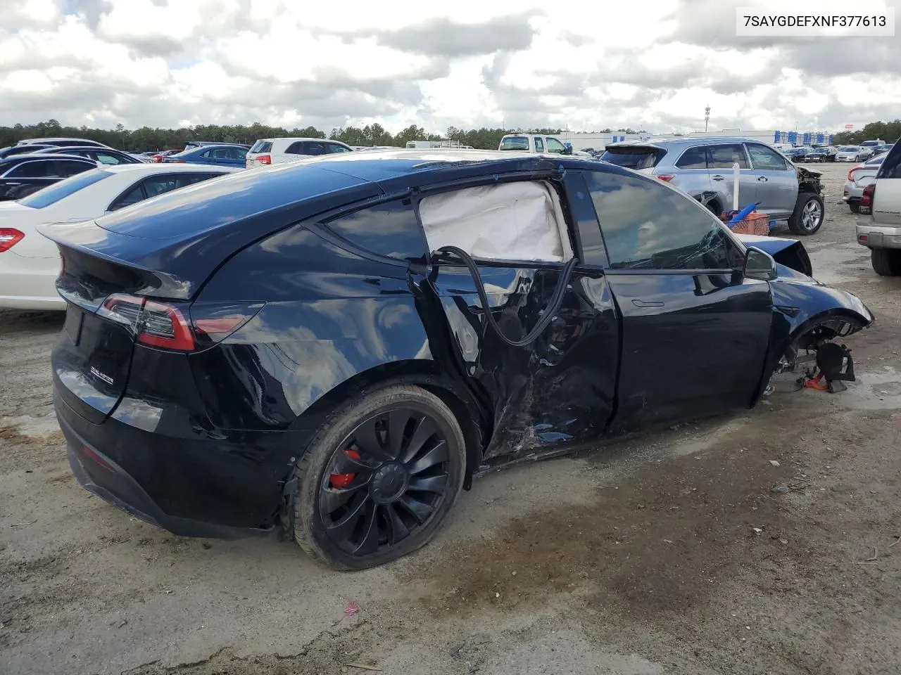 2022 Tesla Model Y VIN: 7SAYGDEFXNF377613 Lot: 79143934