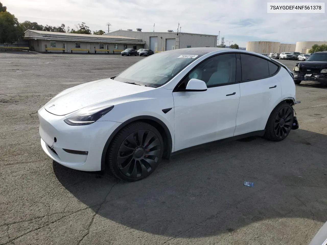 2022 Tesla Model Y VIN: 7SAYGDEF4NF561378 Lot: 79563164