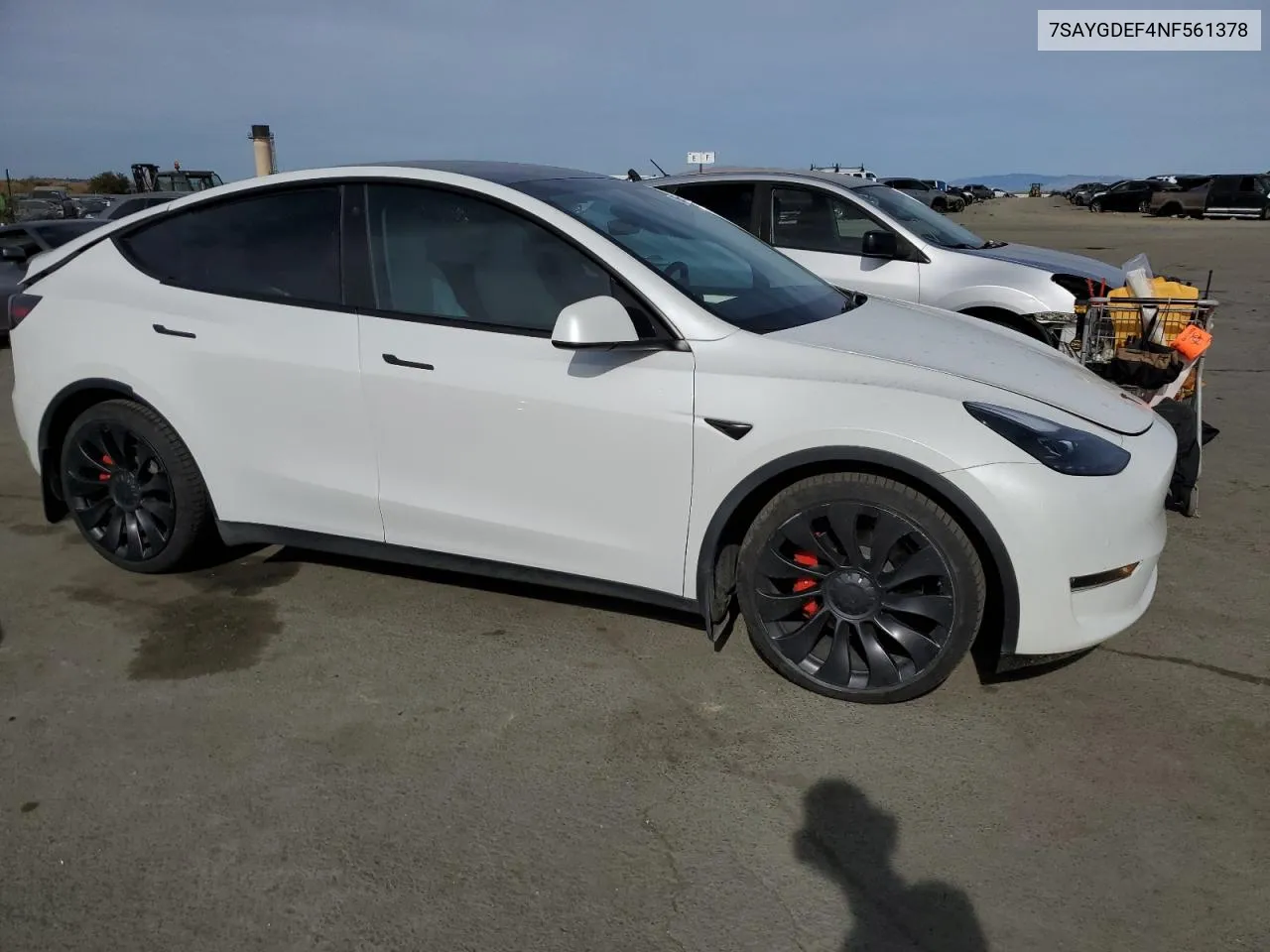 2022 Tesla Model Y VIN: 7SAYGDEF4NF561378 Lot: 79563164