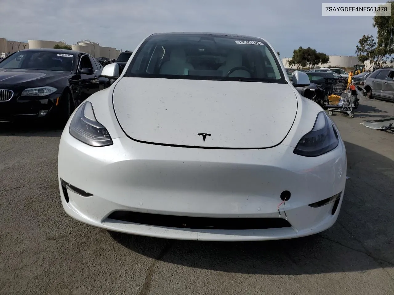 2022 Tesla Model Y VIN: 7SAYGDEF4NF561378 Lot: 79563164