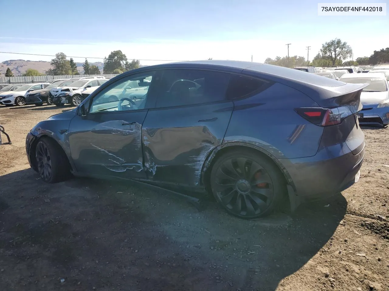 2022 Tesla Model Y VIN: 7SAYGDEF4NF442018 Lot: 79775544