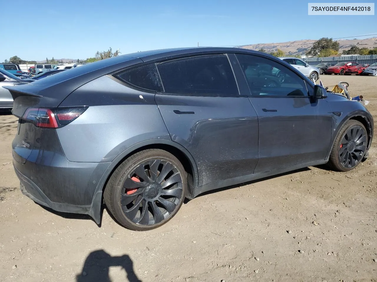 2022 Tesla Model Y VIN: 7SAYGDEF4NF442018 Lot: 79775544