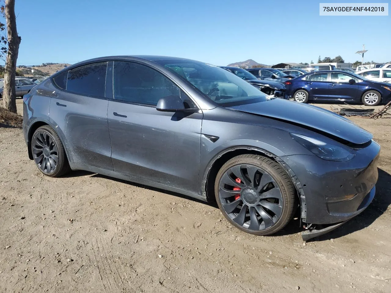 2022 Tesla Model Y VIN: 7SAYGDEF4NF442018 Lot: 79775544