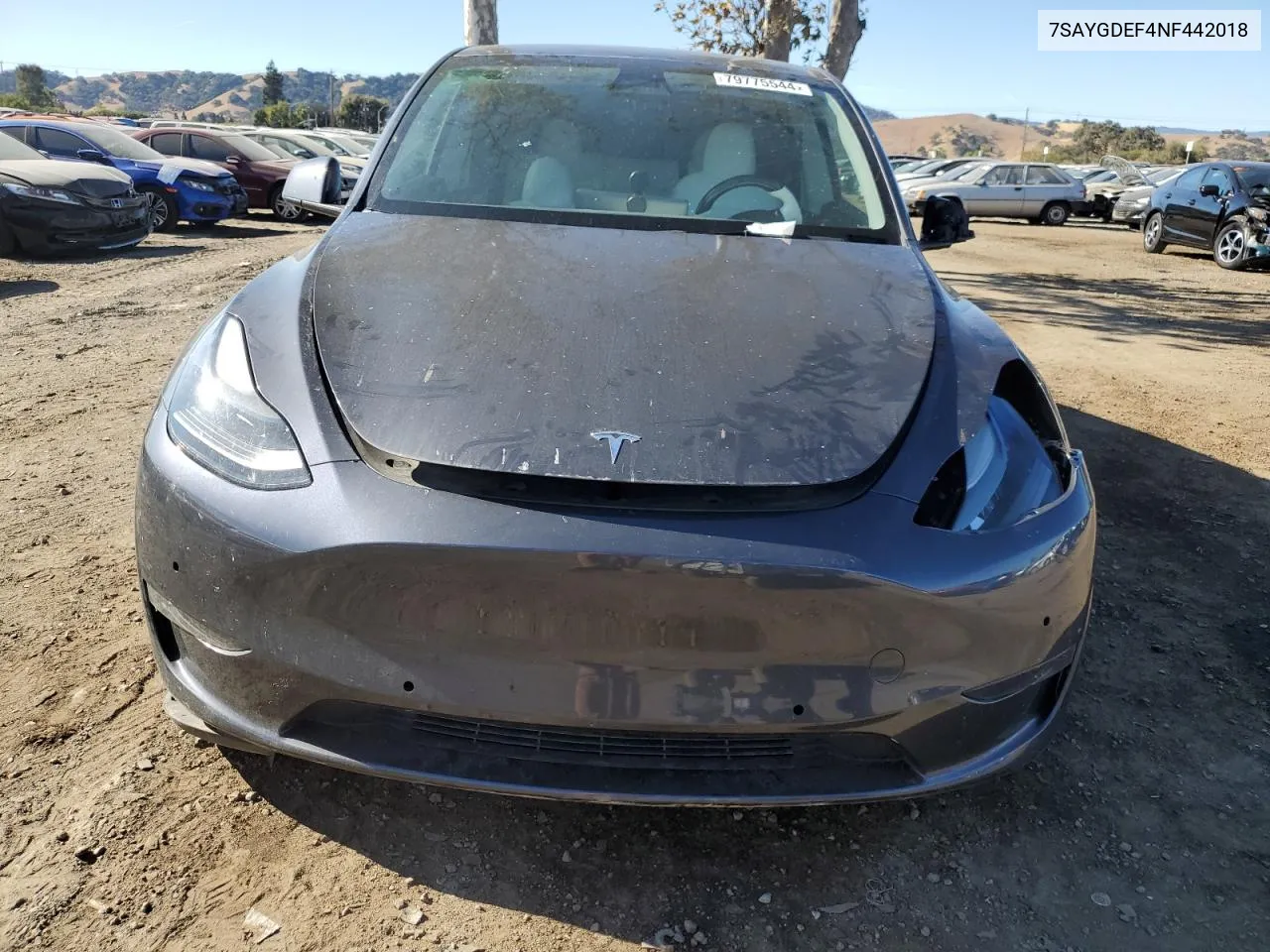 2022 Tesla Model Y VIN: 7SAYGDEF4NF442018 Lot: 79775544