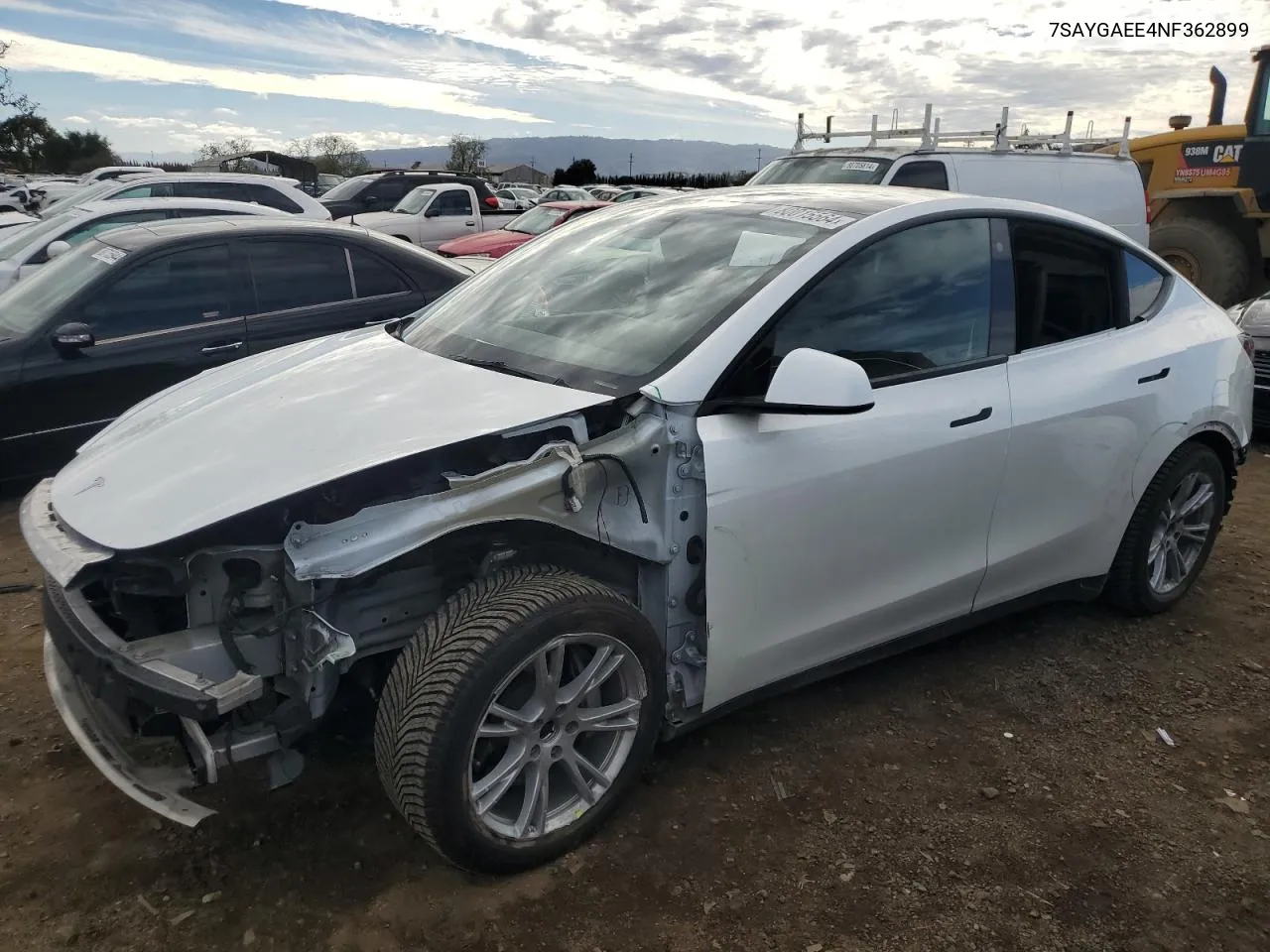 2022 Tesla Model Y VIN: 7SAYGAEE4NF362899 Lot: 80015564