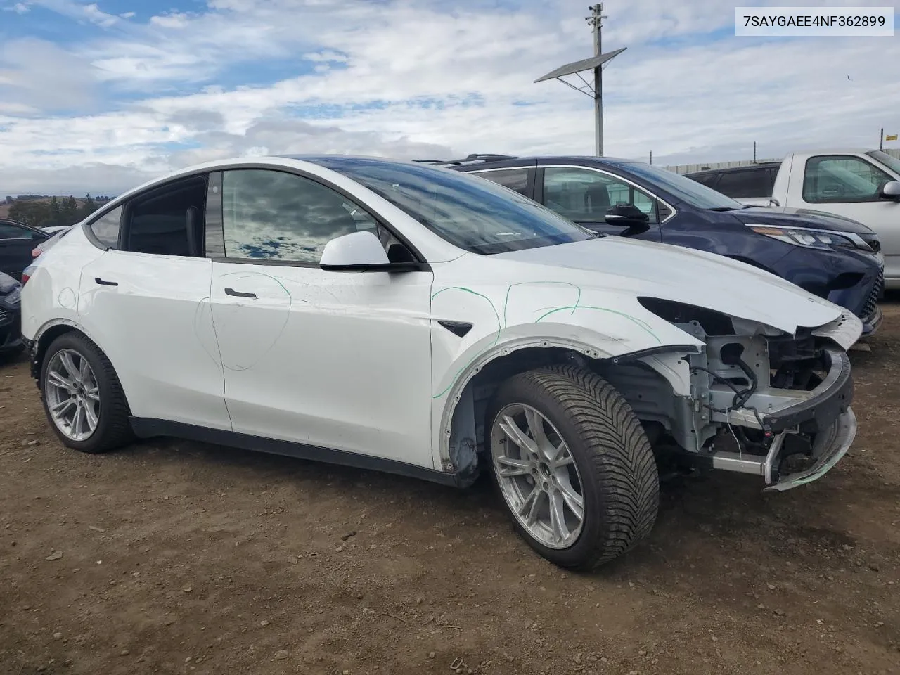 2022 Tesla Model Y VIN: 7SAYGAEE4NF362899 Lot: 80015564