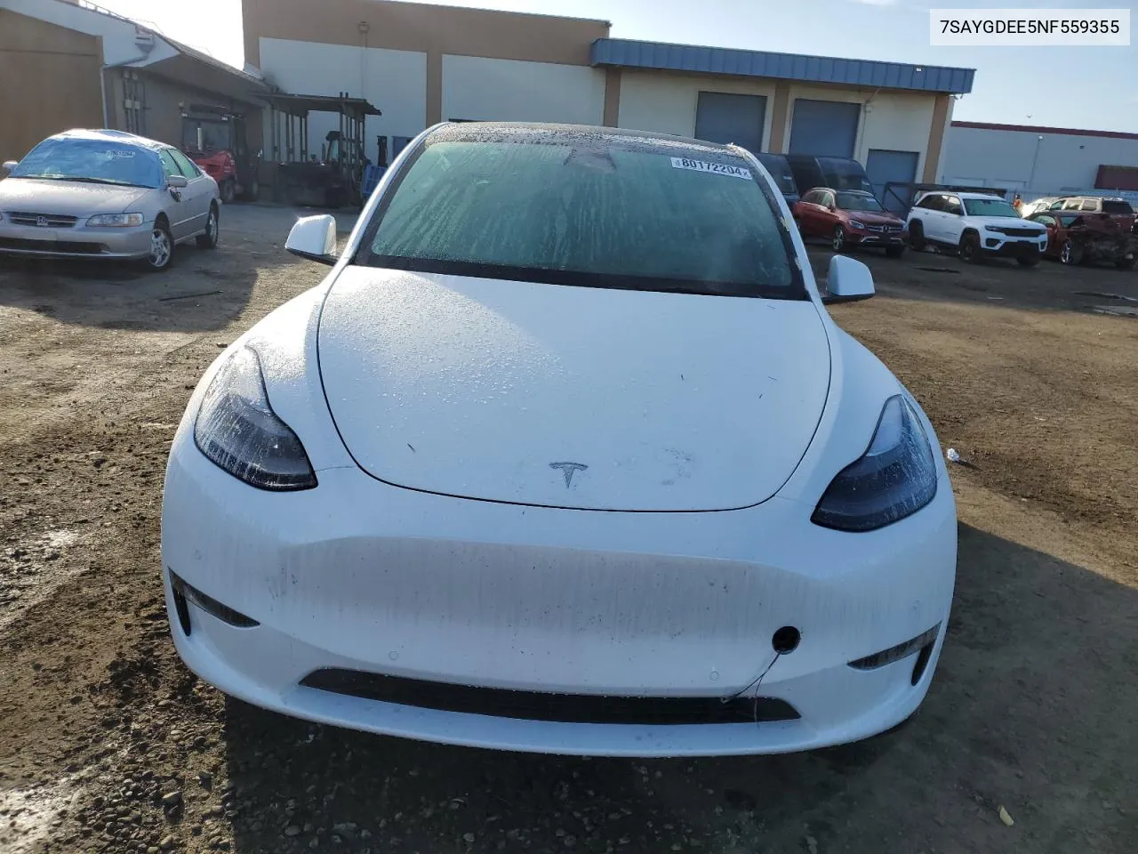 2022 Tesla Model Y VIN: 7SAYGDEE5NF559355 Lot: 80172204