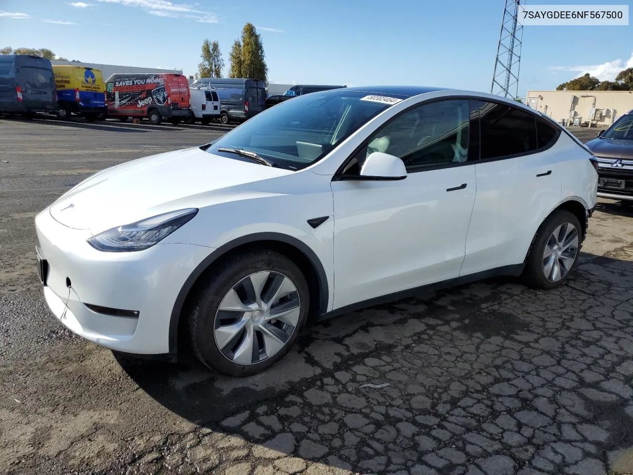 2022 Tesla Model Y VIN: 7SAYGDEE6NF567500 Lot: 80303464