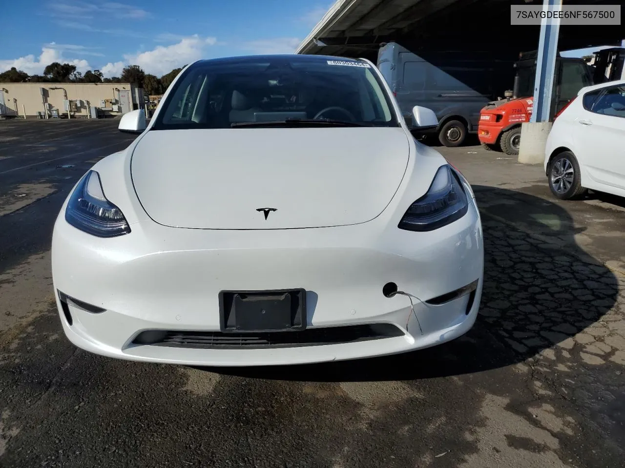 2022 Tesla Model Y VIN: 7SAYGDEE6NF567500 Lot: 80303464