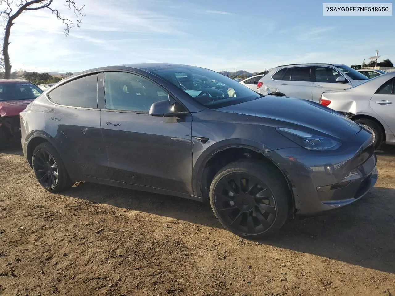 2022 Tesla Model Y VIN: 7SAYGDEE7NF548650 Lot: 80378834