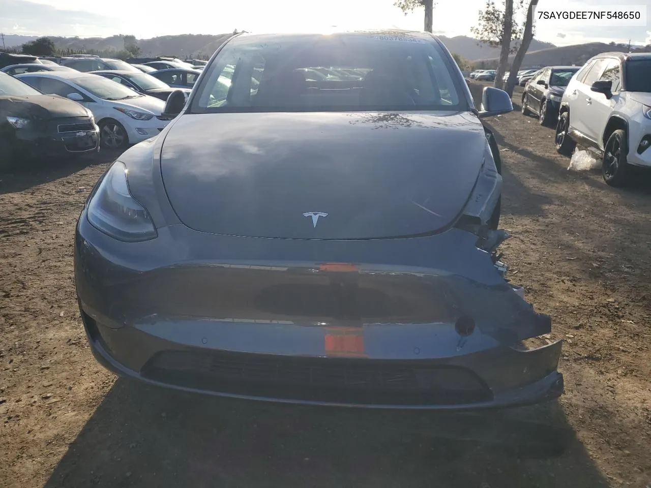 2022 Tesla Model Y VIN: 7SAYGDEE7NF548650 Lot: 80378834