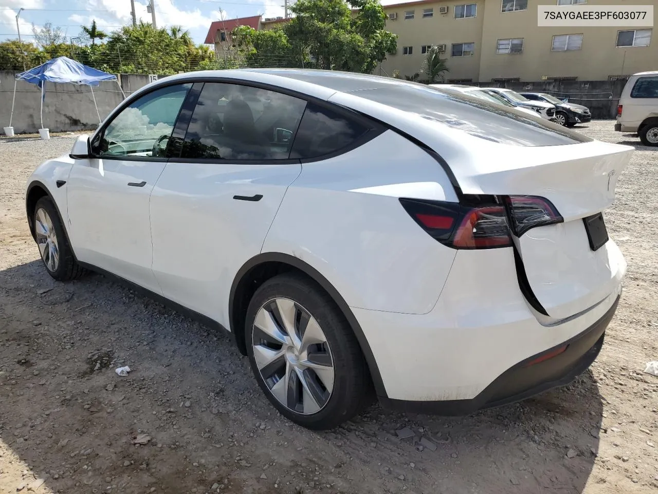 2023 Tesla Model Y VIN: 7SAYGAEE3PF603077 Lot: 43071124