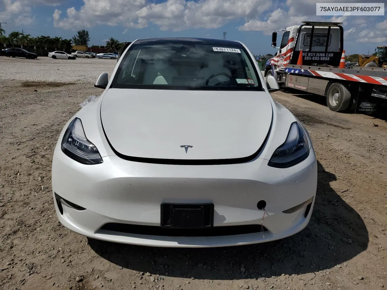 2023 Tesla Model Y VIN: 7SAYGAEE3PF603077 Lot: 43071124