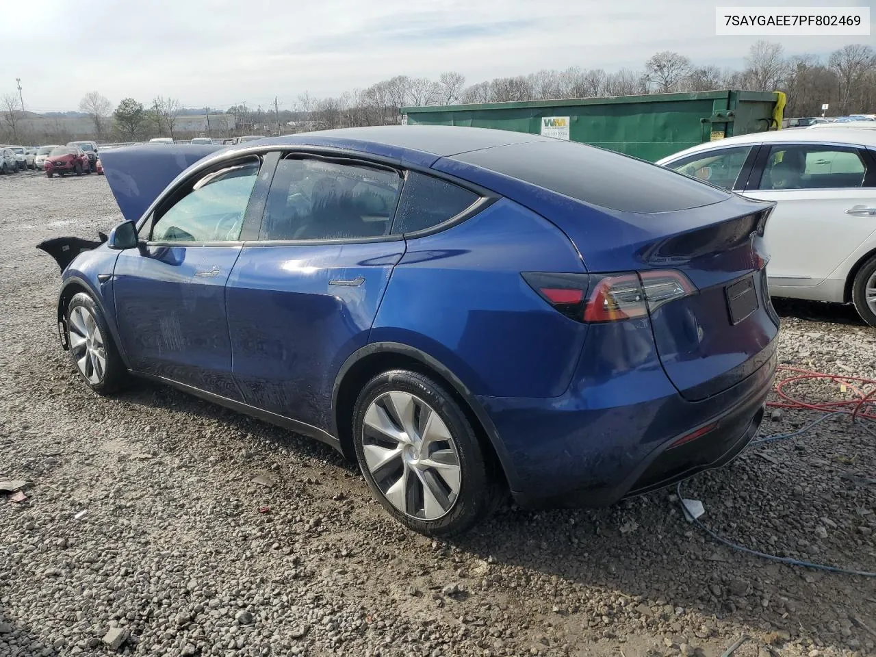 2023 Tesla Model Y VIN: 7SAYGAEE7PF802469 Lot: 43260644